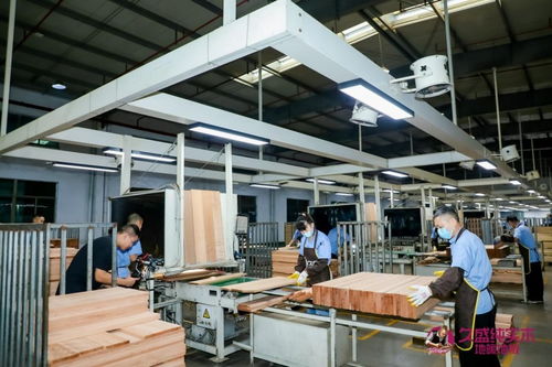 技术驱动，品质护航 久盛地板以深化供应链与研发创新助力国民健康生活